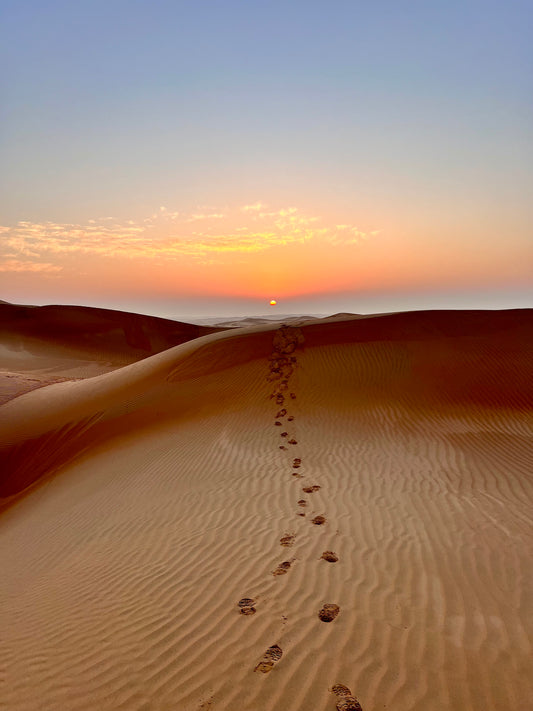 Sand to Salt: Oman Desert Expedition