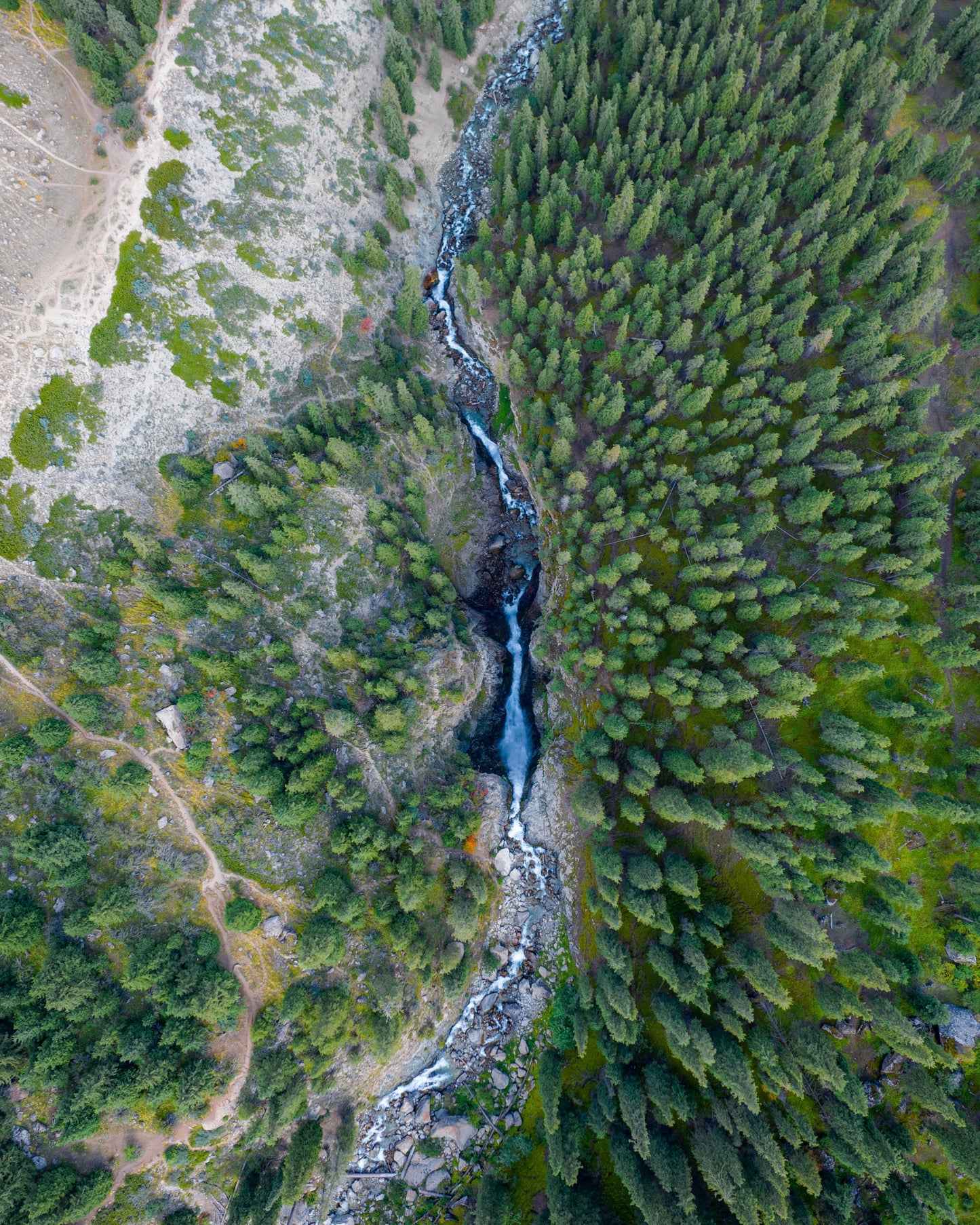 Nomad Trails: Kyrgyzstan Summer Expedition