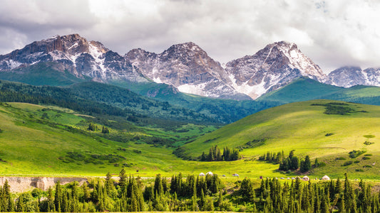 Nomad Trails: Kyrgyzstan Summer Expedition