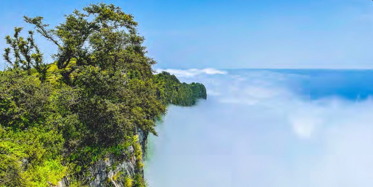 Shaat Cliff Viewpoint with green trees overlooking thick clouds and the Indian Ocean.