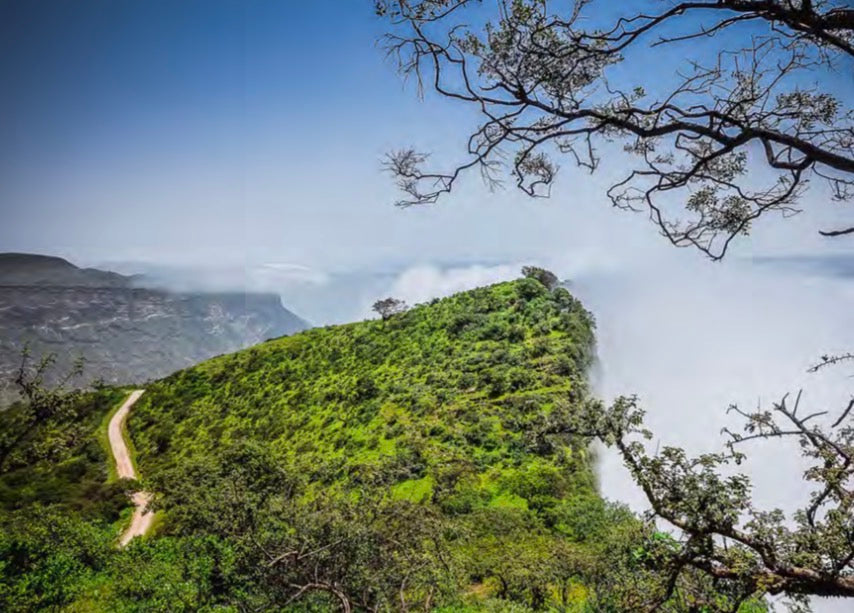Green mountain ridge at Jebel Samhan surrounded by mist and framed by tree branches.