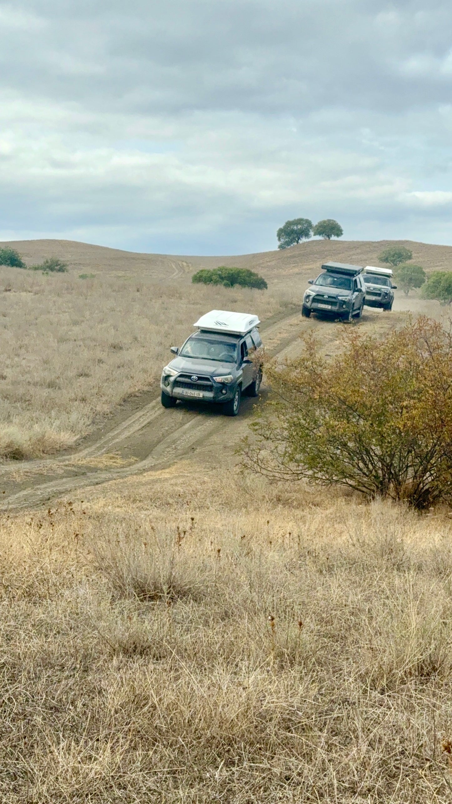 Savannah to Summits: Caucasus Overland Adventure