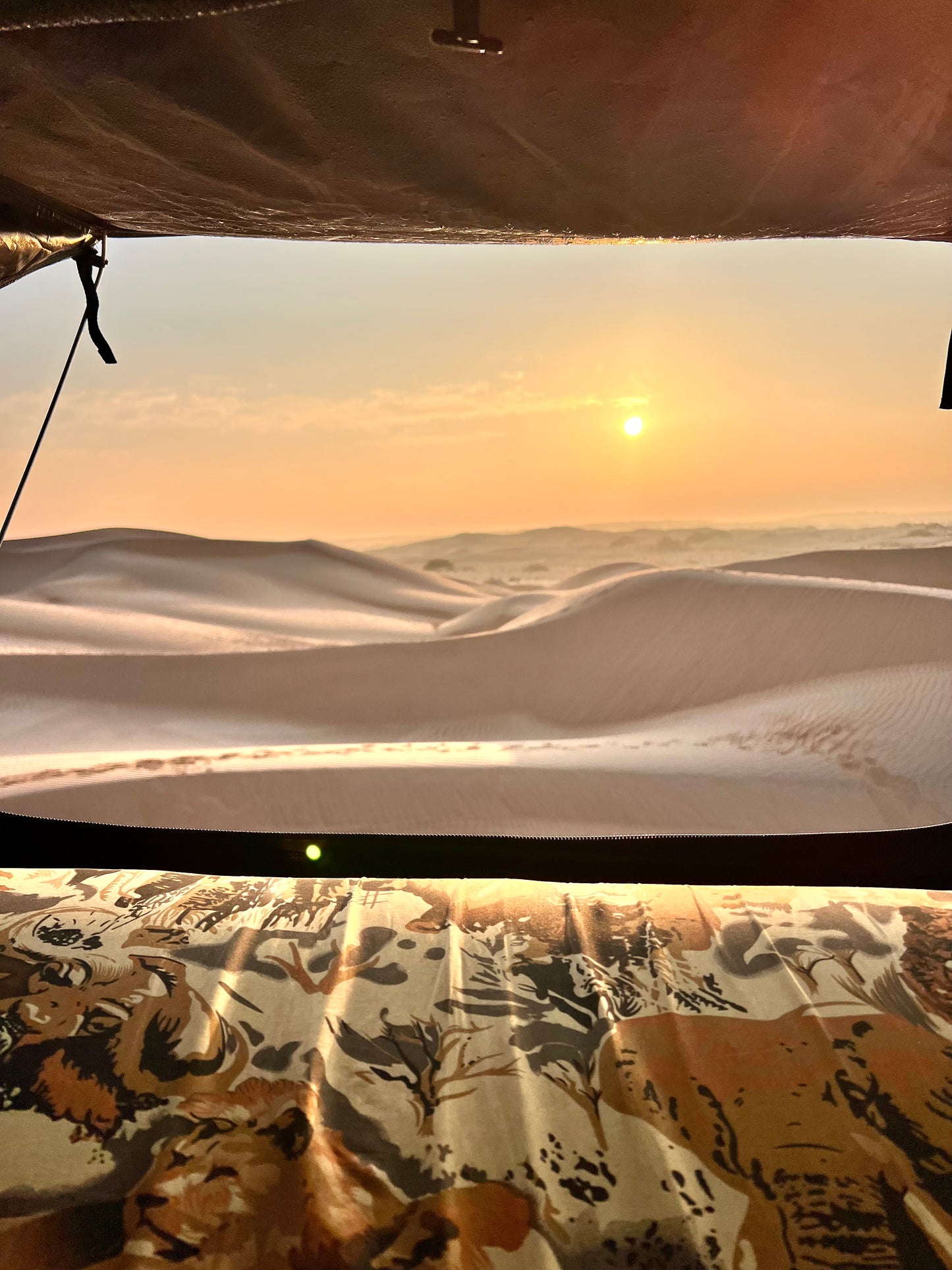 Sand to Salt: Oman Desert Expedition